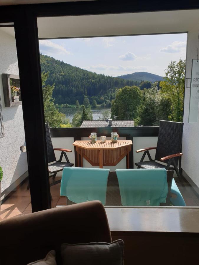 Ferienwohnung Zeitlos, Gigantischer Seeblick, Wlan, Gerne Mit Hund Winterberg Exterior foto