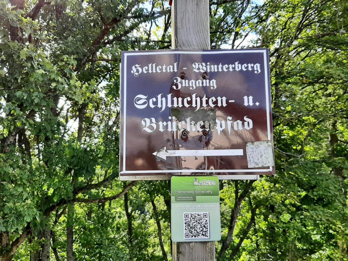Ferienwohnung Zeitlos, Gigantischer Seeblick, Wlan, Gerne Mit Hund Winterberg Exterior foto
